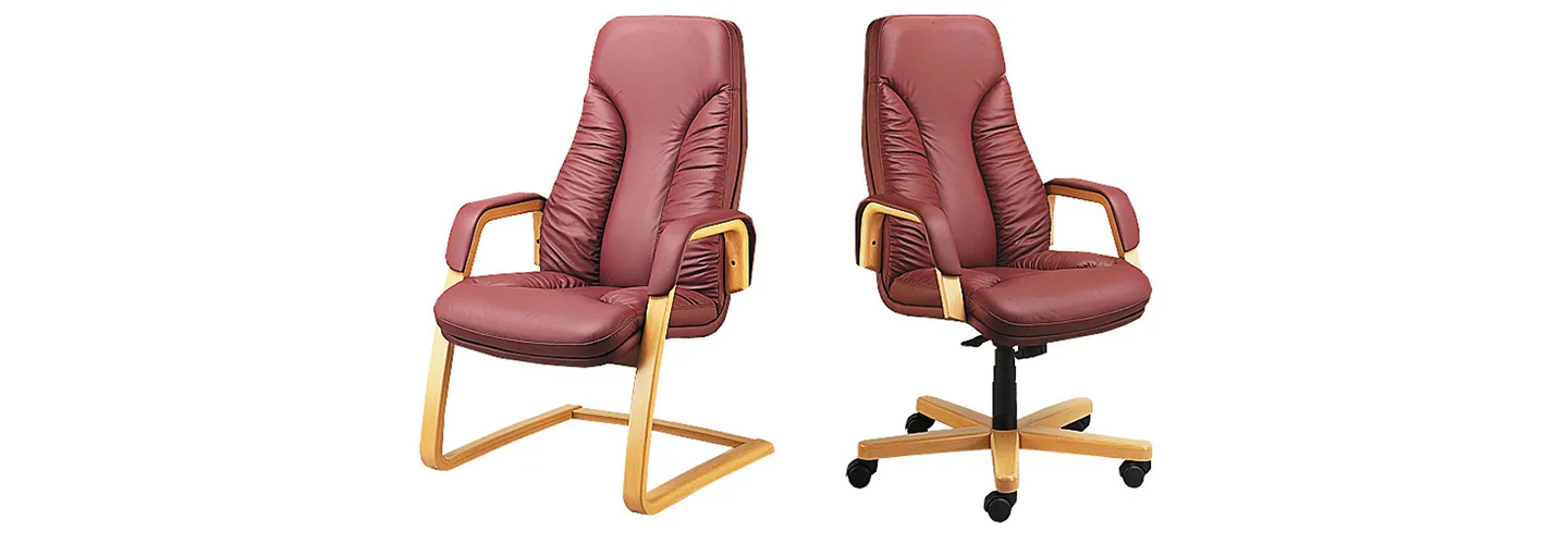 LUXUS SESSEL