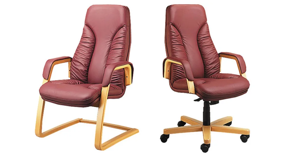 LUXUS SESSEL